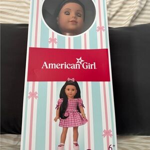 American Girl Doll in Pink Checkered Dress